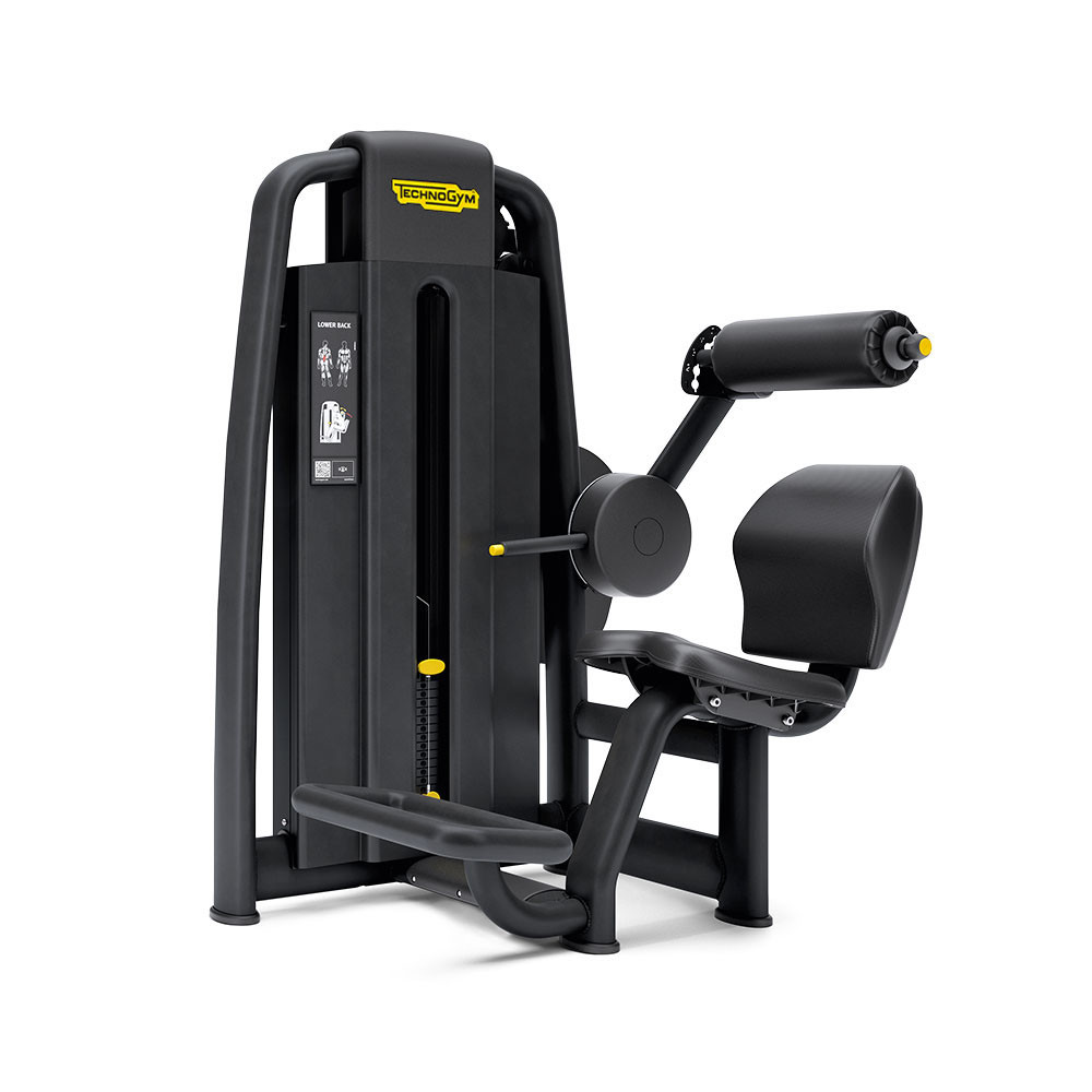Selection 700 Lower Back Extension Machine
