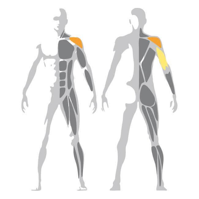 Selection MED Shoulder Press Machine | Technology