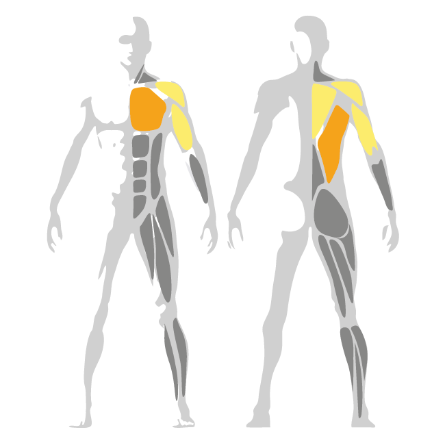 Reverse fly - Selection 700 | Technogym fitness equipment