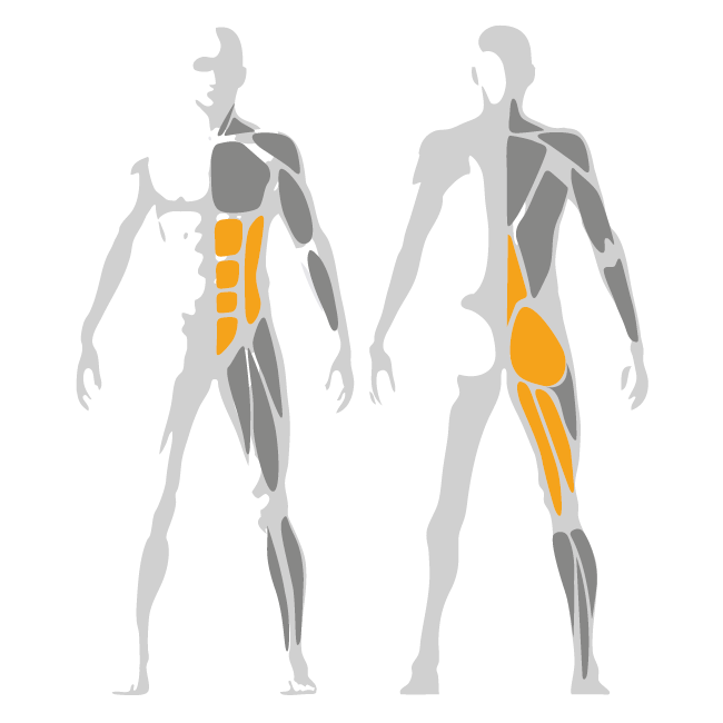 GHD Bench |  Pure Line for an Effective Strength Workout