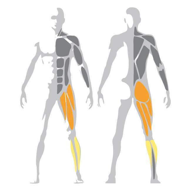 ARTIS® Multi Hip Weights Machine