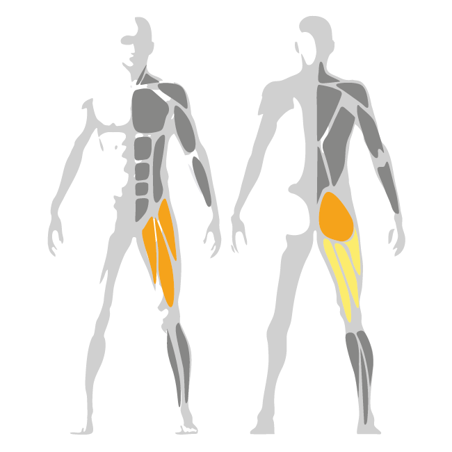 Pure Hack Squat Machine