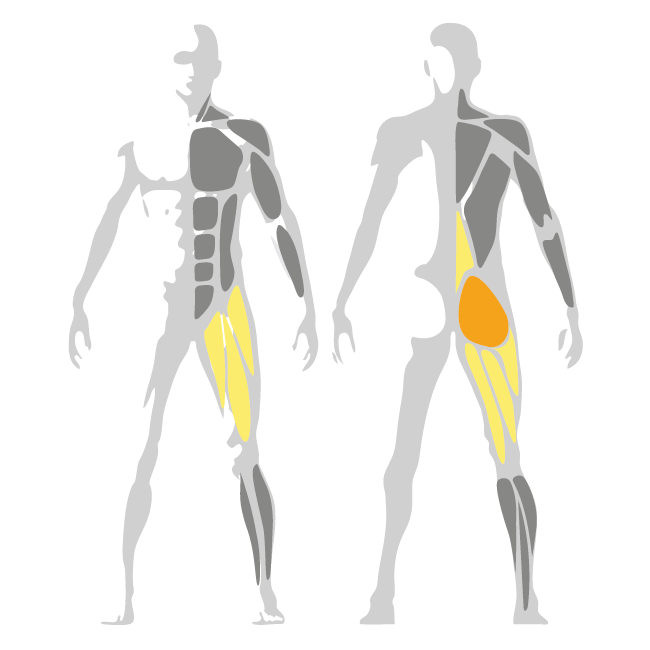Pure Hip Thrust Workout for Glutes