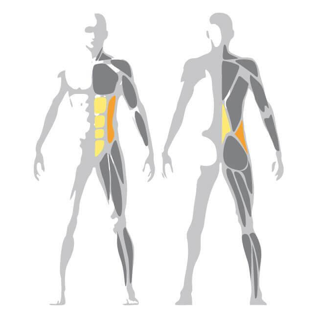 Selection MED Rotary Oblique Machine