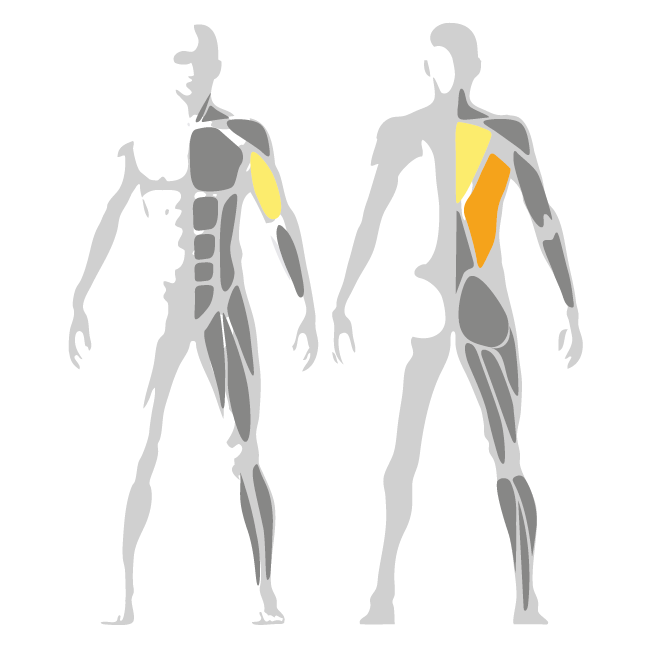 Selection 700 Lat Pulldown Machine | Multi-Functional