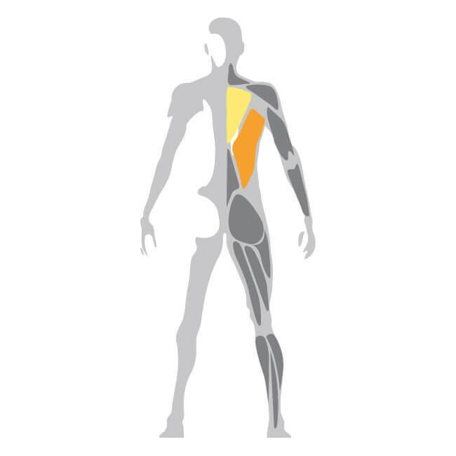 Selection Upper Body MED LAT Machine 