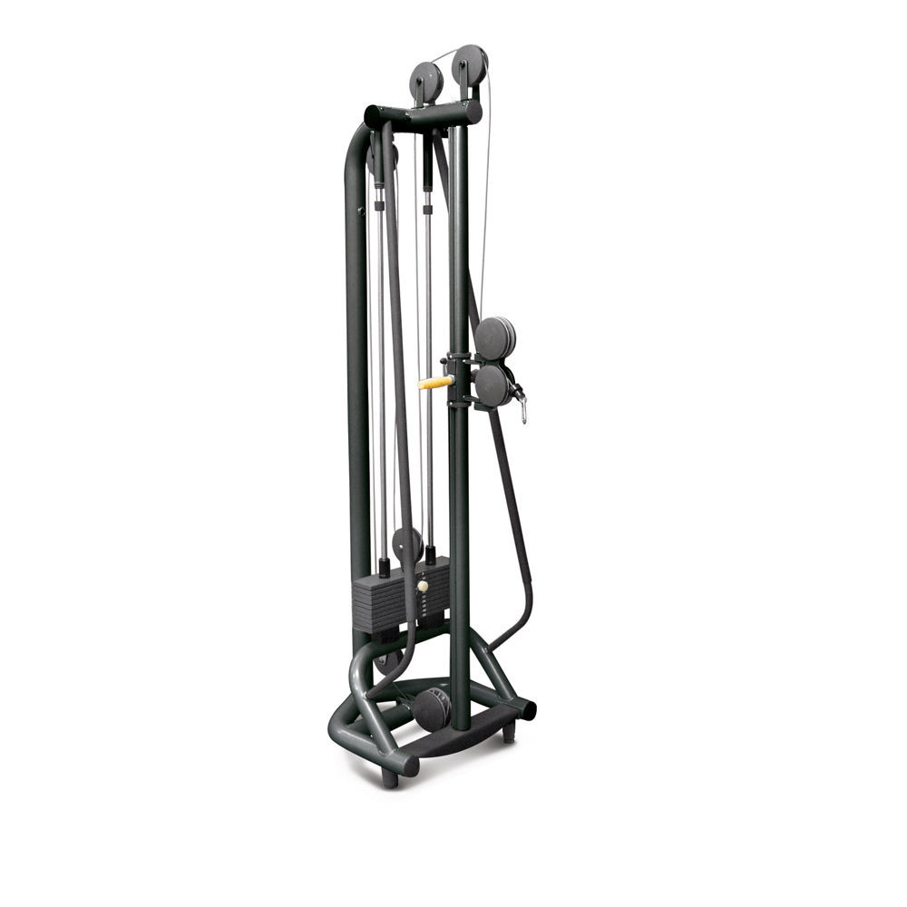 Ercolina Standing Pulley Weight Machine