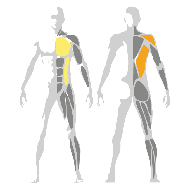 Pure Pullover Upper Body Exercises