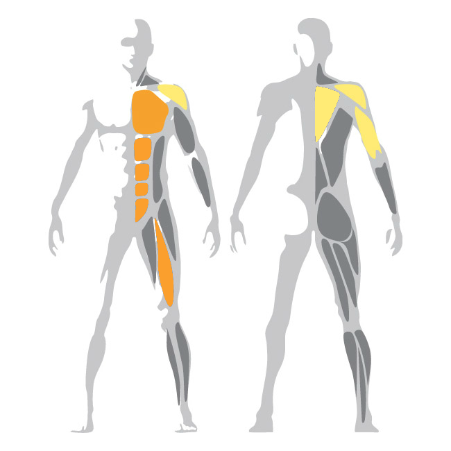 Plurima Multistation Core Strength, Chest & Military Press